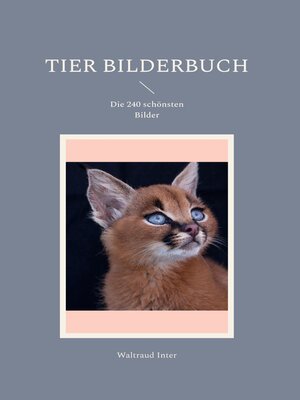 cover image of Tier Bilderbuch